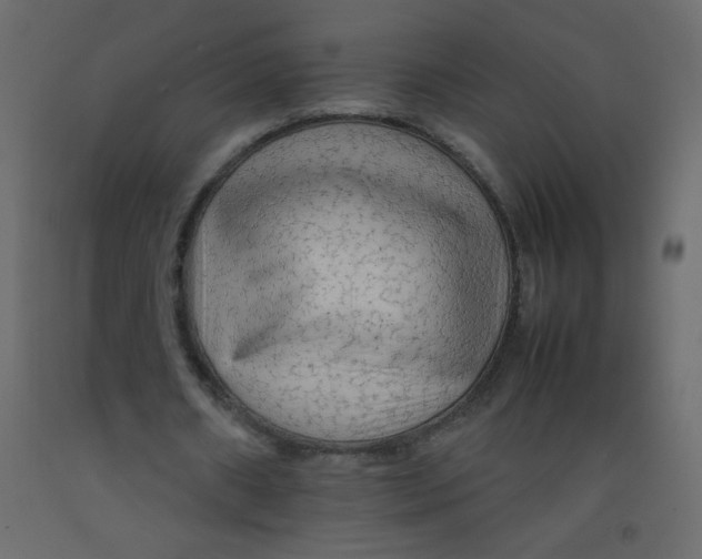 X0000092070482200710101022