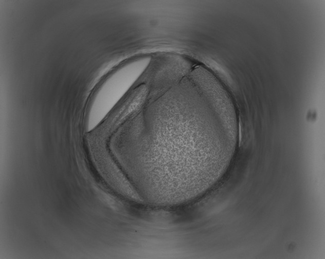 X0000092070483200710101022