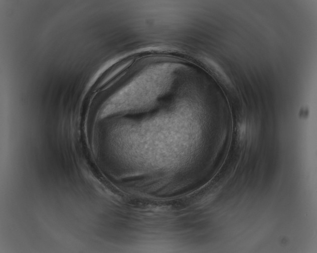 X0000092070484200710101022