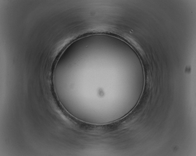 X0000092070485200710101022