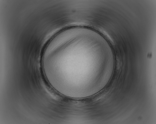 X0000092070486200710101022