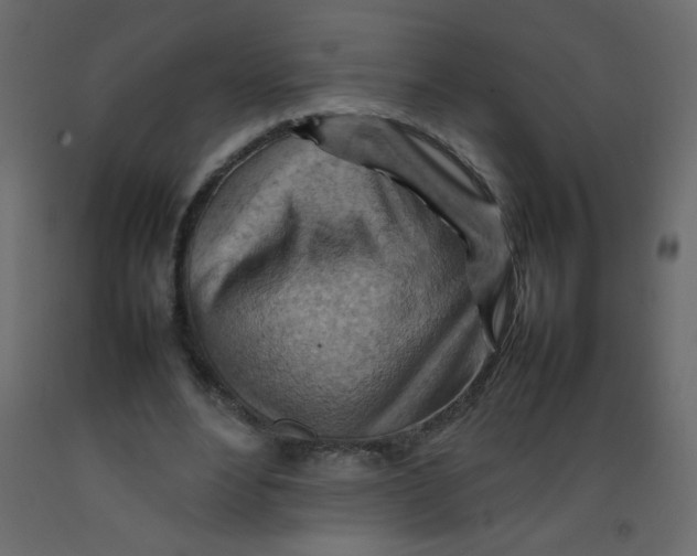 X0000092070488200710101022