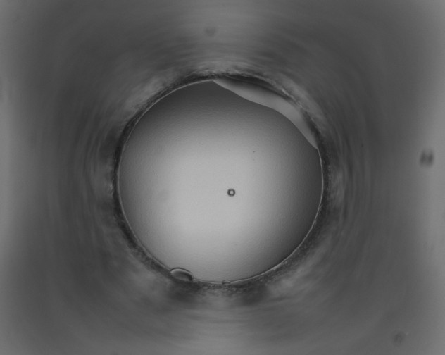 X0000092070489200710101022