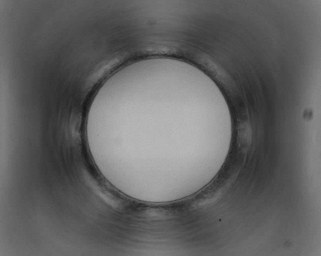 X0000092070490200710101022