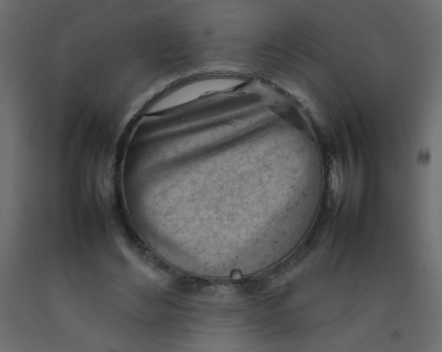 X0000092070492200710101022