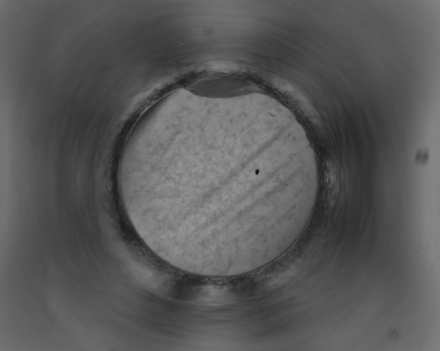X0000092070496200710101022