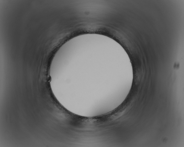 X0000092070497200710101022