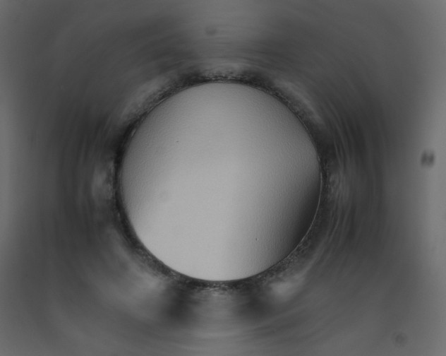 X0000092070498200710101022
