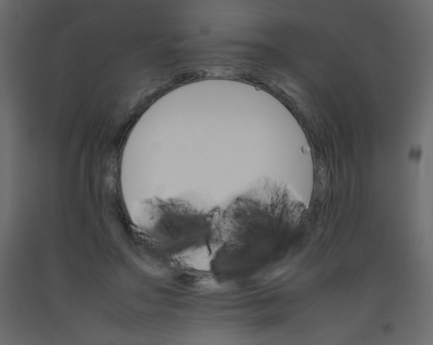 X0000092070499200710101022