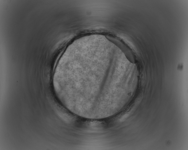 X0000092070501200710101022