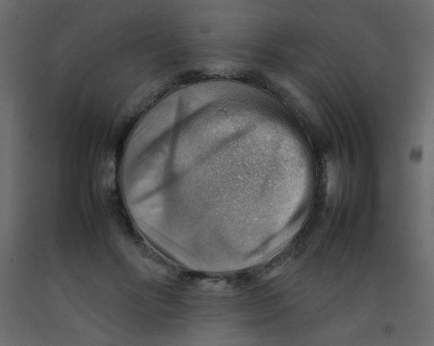 X0000092070502200710101022