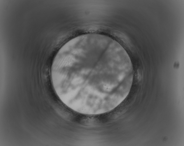 X0000092070503200710101022