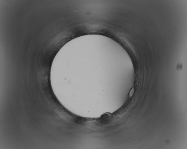 X0000092070505200710101022