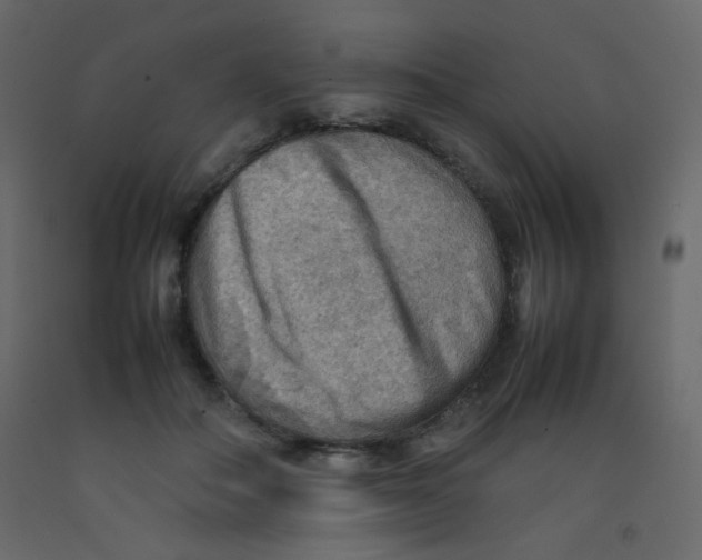 X0000092070506200710101022