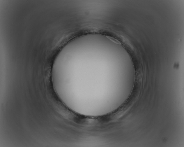 X0000092070509200710101022