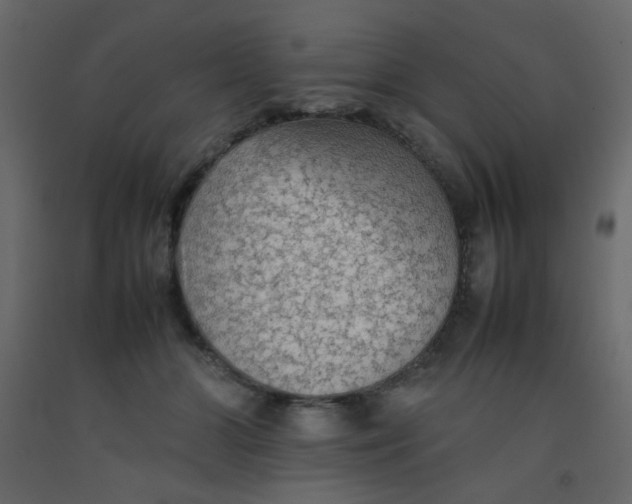 X0000092070510200710101022