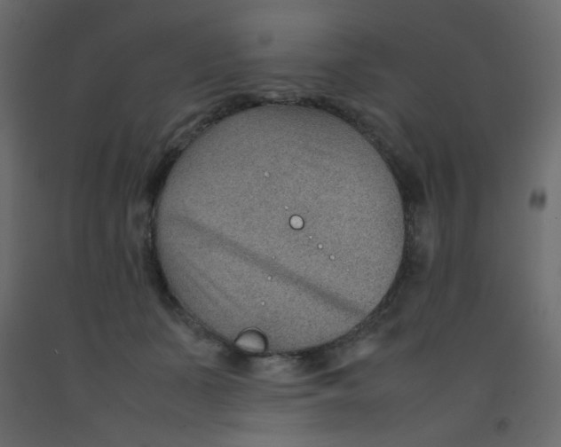 X0000092070511200710101022
