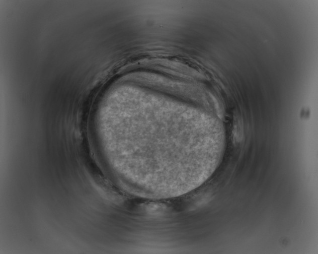 X0000092070512200710101022