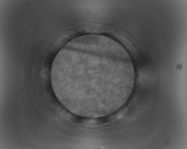 X0000092070513200710101022