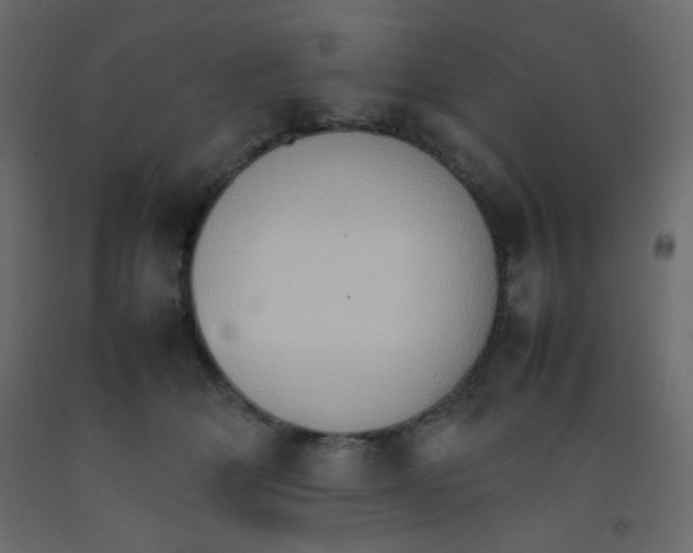 X0000092070514200710101022