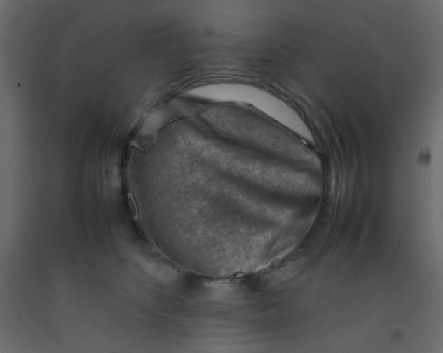 X0000092070516200710101022