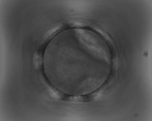 X0000092070517200710101021