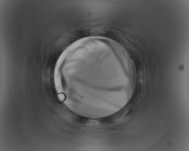 X0000092070519200710101021