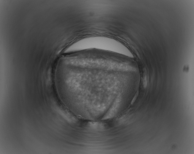 X0000092070520200710101021