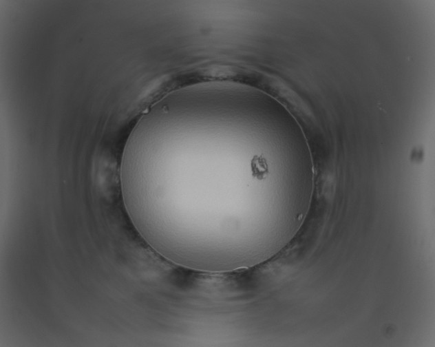 X0000092070521200710101021