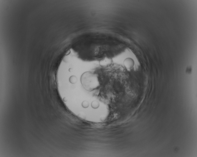 X0000092070523200710101021