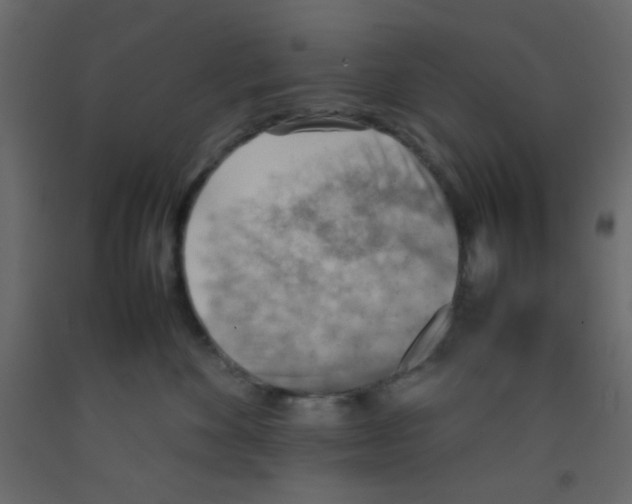 X0000092070524200710101021