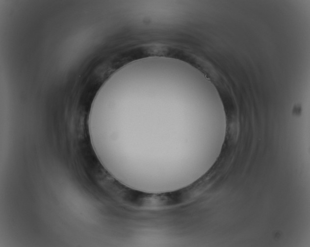 X0000092070525200710101021