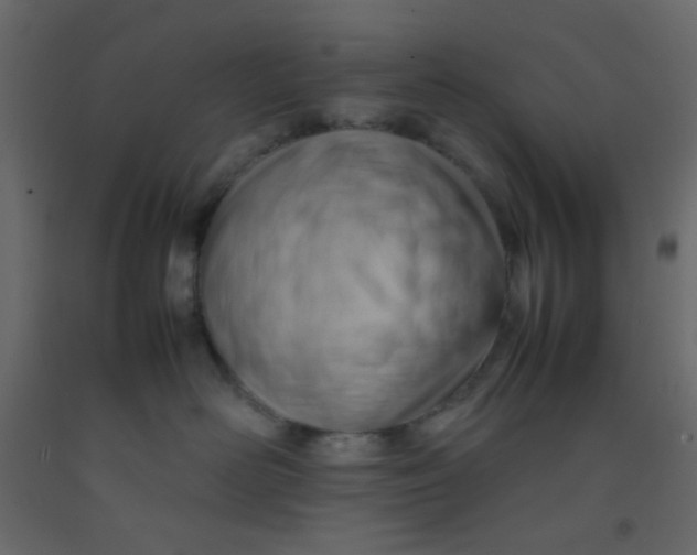 X0000092070526200710101021