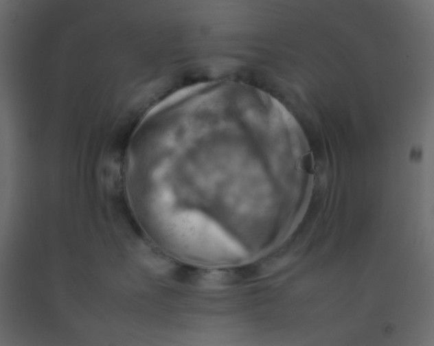 X0000092070527200710101021