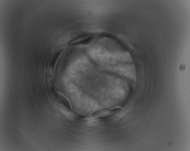 X0000092070528200710101021