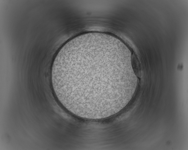 X0000092070529200710101021