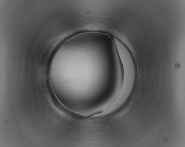 X0000092070530200710101021