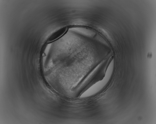 X0000092070531200710101021