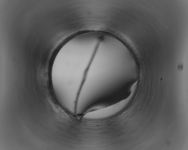 X0000092070532200710101021