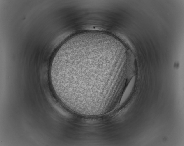 X0000092070533200710101021