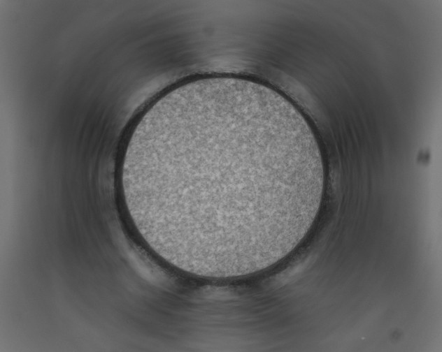 X0000092070534200710101021