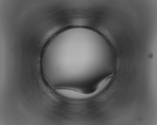 X0000092070535200710101021