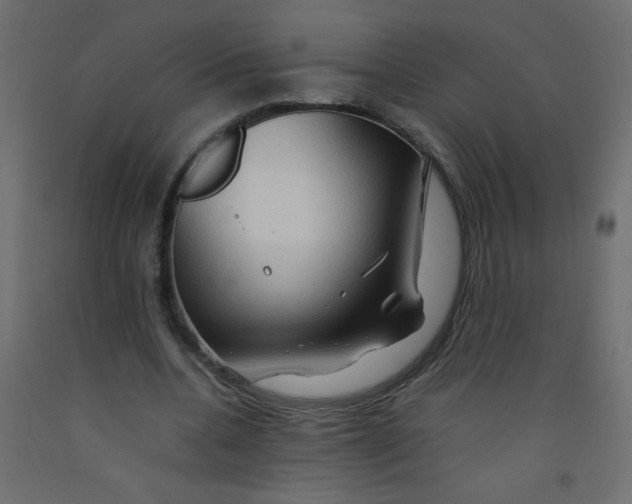 X0000092070536200710101021