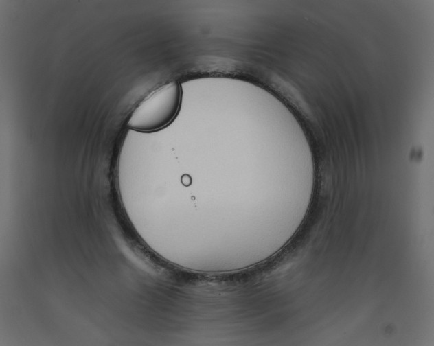 X0000092070538200710101021