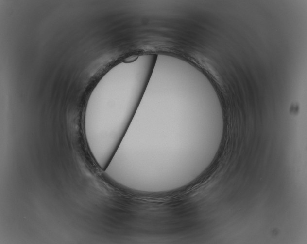 X0000092070539200710101021