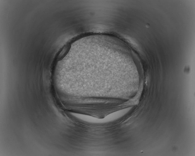 X0000092070540200710101021