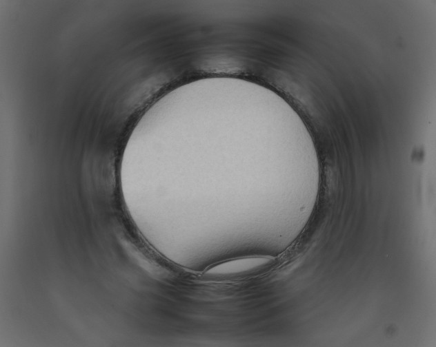 X0000092070541200710101021