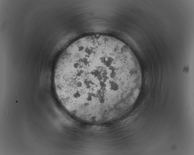 X0000092070542200710101021