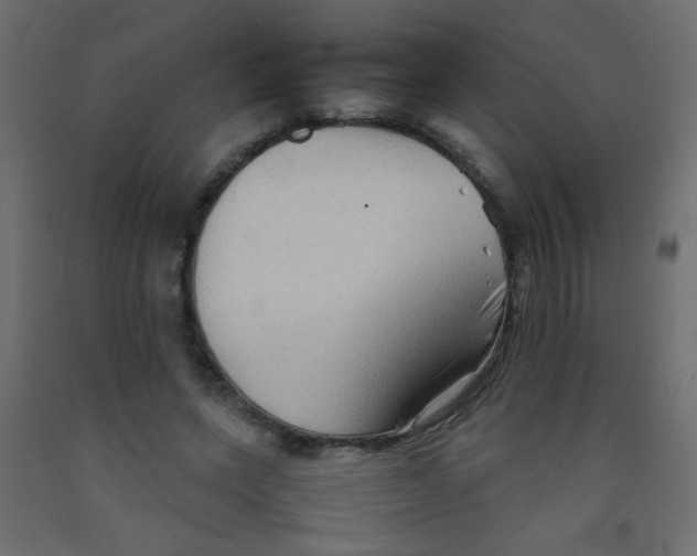 X0000092070543200710101021