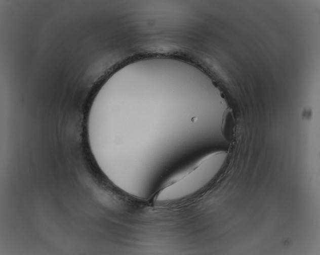 X0000092070544200710101021